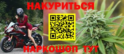 гашик Будённовск