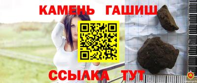 гашик Будённовск