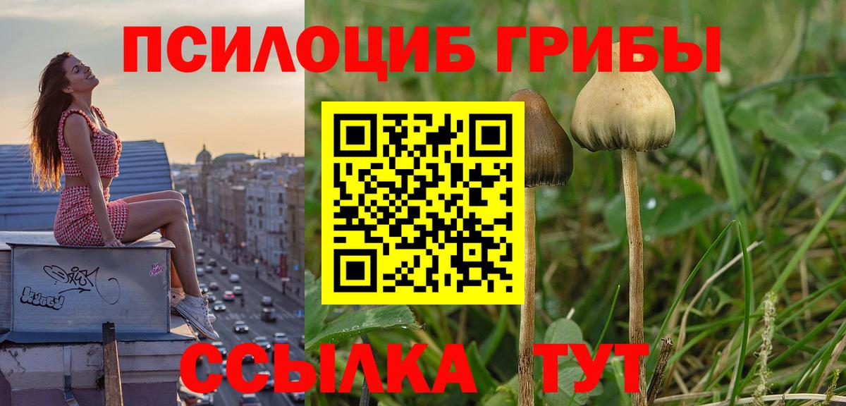 продажа наркотиков  Вход с VPN  Псков  Галлюциногенные грибы Psilocybine cubensis 
