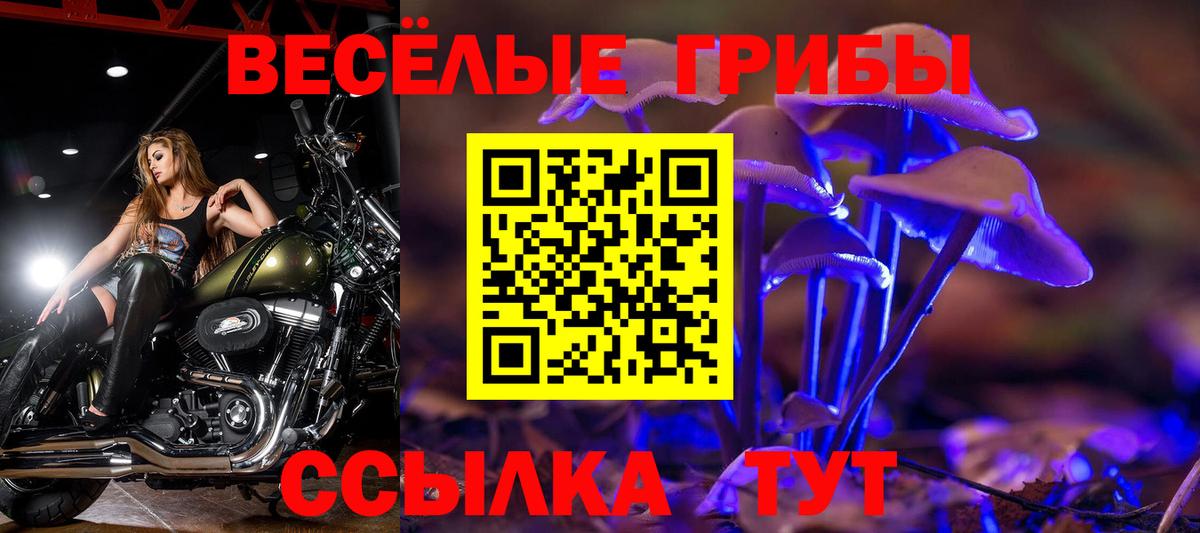 Псилоцибиновые грибы ЛСД Псков